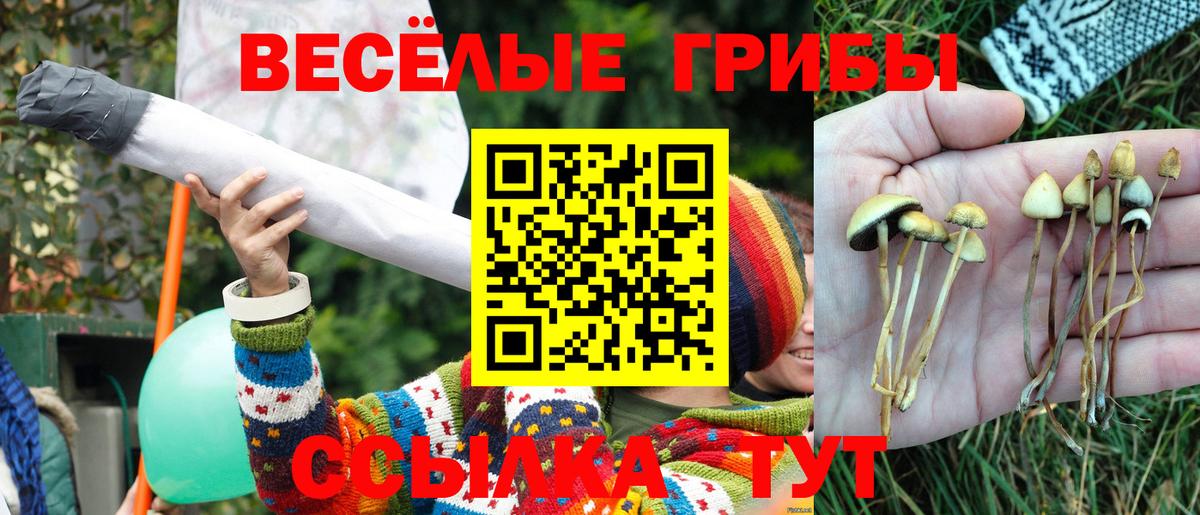 Псилоцибиновые грибы ЛСД Южноуральск
